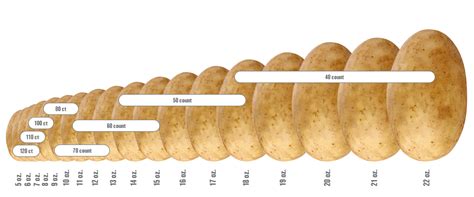 potato corner size comparison